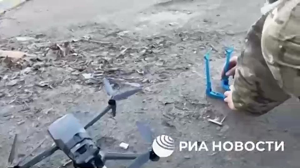 �������� ���� ����������� �����������