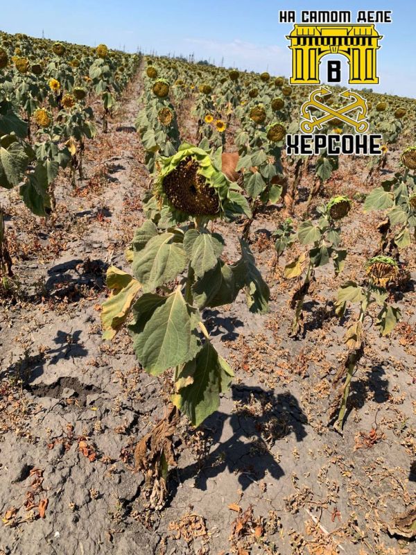 ������ �� ����������.. ��� ����� ���������� ������ �� ������ ������ ������