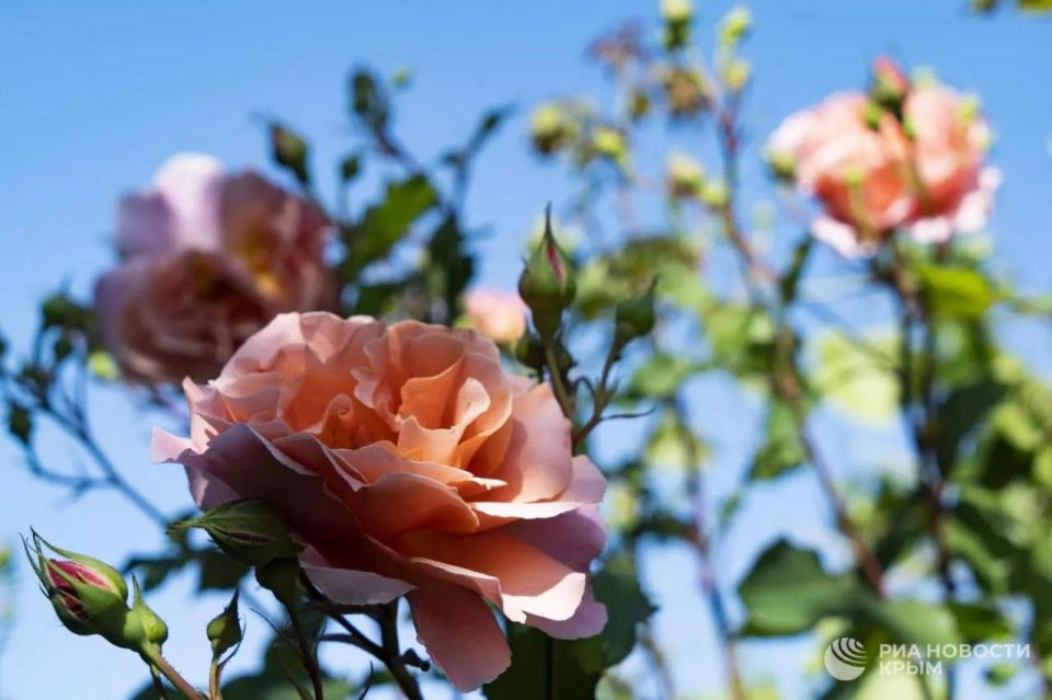 ������ �� ����� ����������� ������