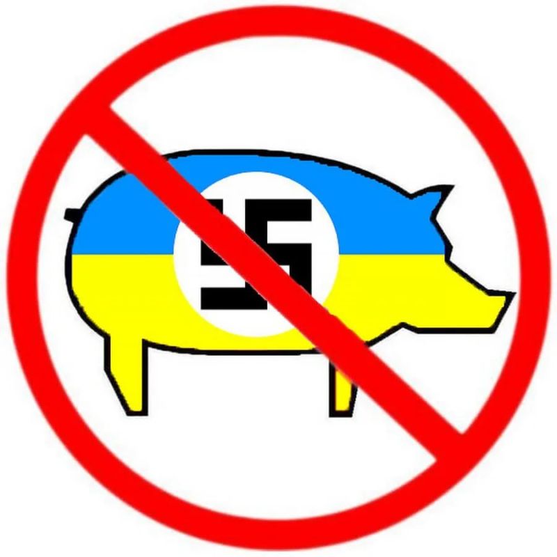 � ������ �������� ������ ���������� ��� ��������� ��������� �����������, ������� � �������� ��������� ������� ����� ��������������