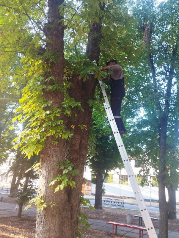 ������������ ������ ������� ���������� ���� ������ ��� �������� ������