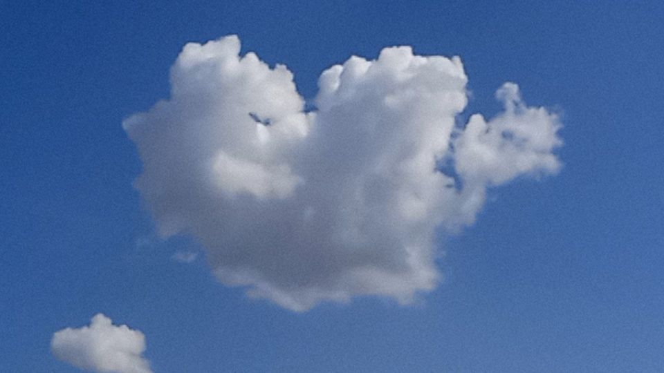 ���������� ������� � �����: ���������� �������� ������ �������� ������� ������� ����