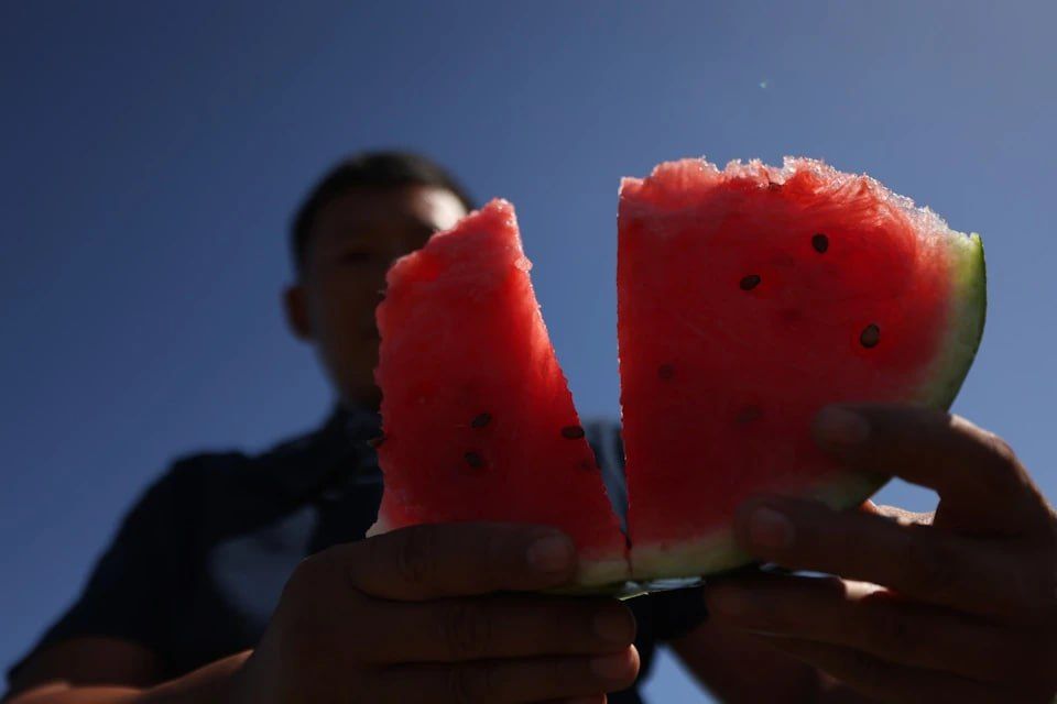 �� � �������� ������, � � ����� � �����: ���������� ������ ���������, ��� ������� ������� �����