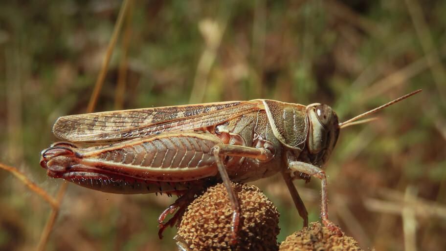 �������� ���������, ����� ��������� � ������� ������� �� ����� � ���������� �������