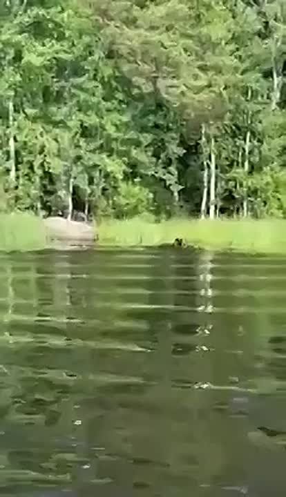  :        ,       ,          25 :