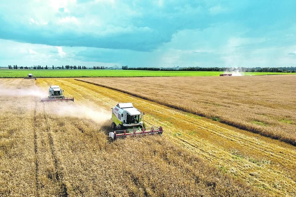 ������� ����� ����������� �� ������: ����� ������ ������� �� ���������� ������� ����������, ������ � ��������� ���