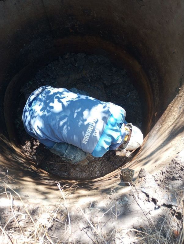 �������� ��� ��������-����������������� ����� � ���� ��������� � �� �������� ������� ��� ��������