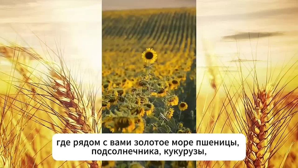 �������� ����� � ���������� �������