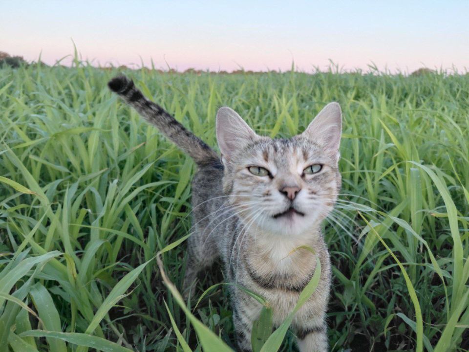 ���������� ������� � �����: ���������� �������� ������ �������� ������� ������� ����