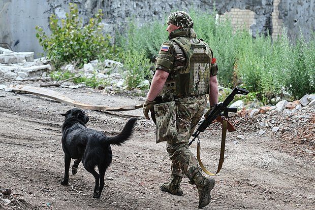 Водолацкий: Прекращение огня не позволит ВСУ усилиться из-за контроля ВС РФ