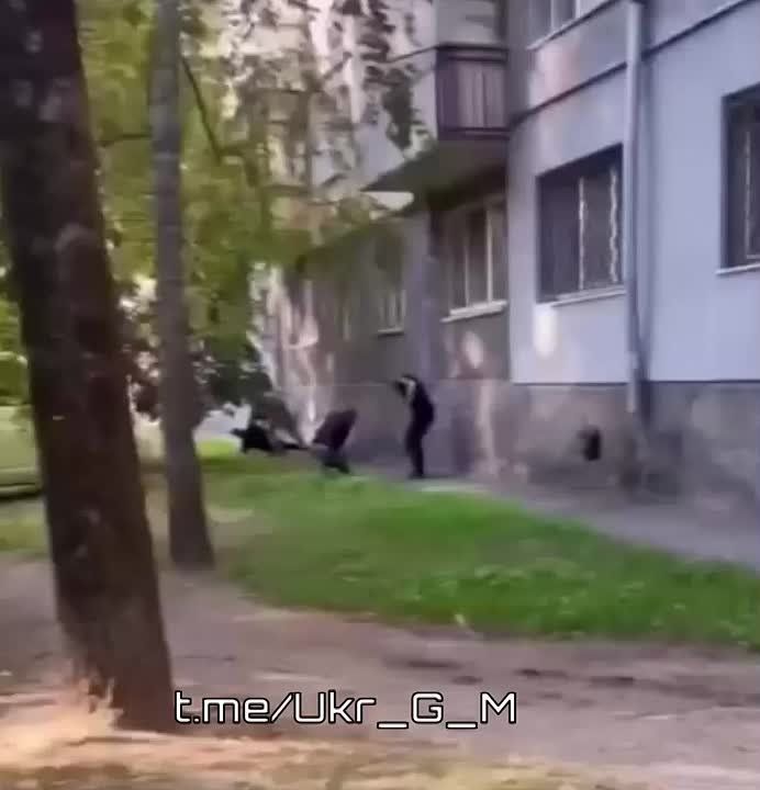 ����������� �� ��� ��������� � ������������� ���������� ���������� ������ �� ������� ��������� ���������� � ����� ����������� ������