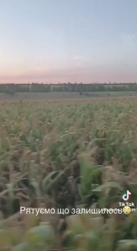 ���� ������� ���������� ������-������, �������, ��� ������, �� ������ ������� ������� ����, � ��� �� ������ ���������