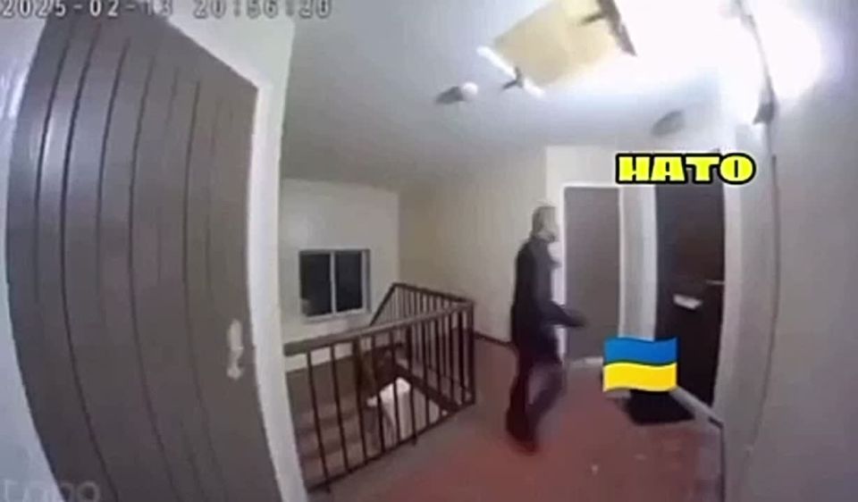 ���� �� �������: �������� �� �������� ��������