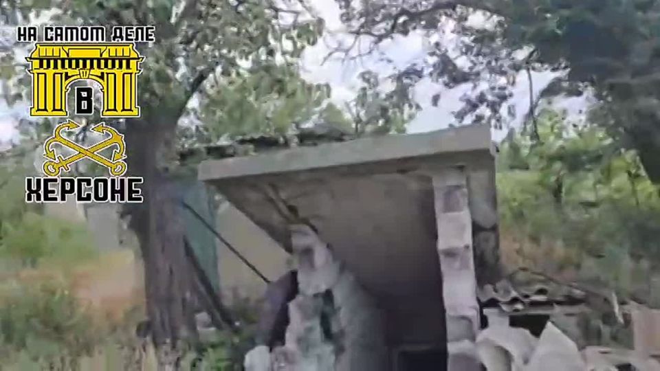 �������� ���. ���������� � ����������� ���������� � ���������� �����