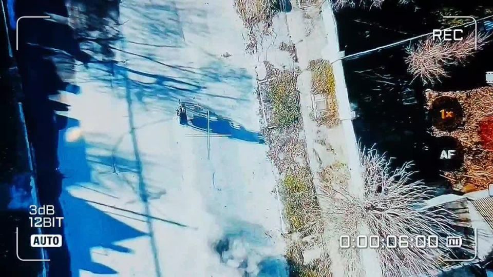 ������. ������� ����