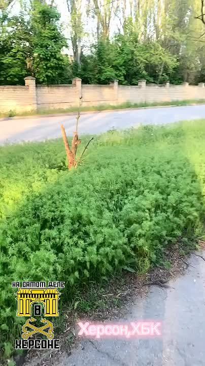 � �������, � ������ �����������, �������� ������ �� ����������� ����������, ������� � �� ����� ���� � ����������