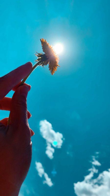 ������� ������ ���������� �������!