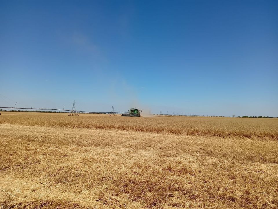 �������� ����... ��� ��� ��� ������ ����