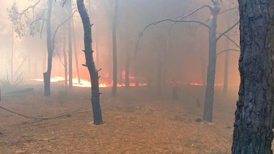 ���������� ���������� ����� ������������ ����� ������ ����� ������� � ����� ��� ���������� ���