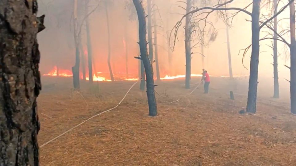 �������� ����������� ������ � �� ��������� ������ � ����� � ����������