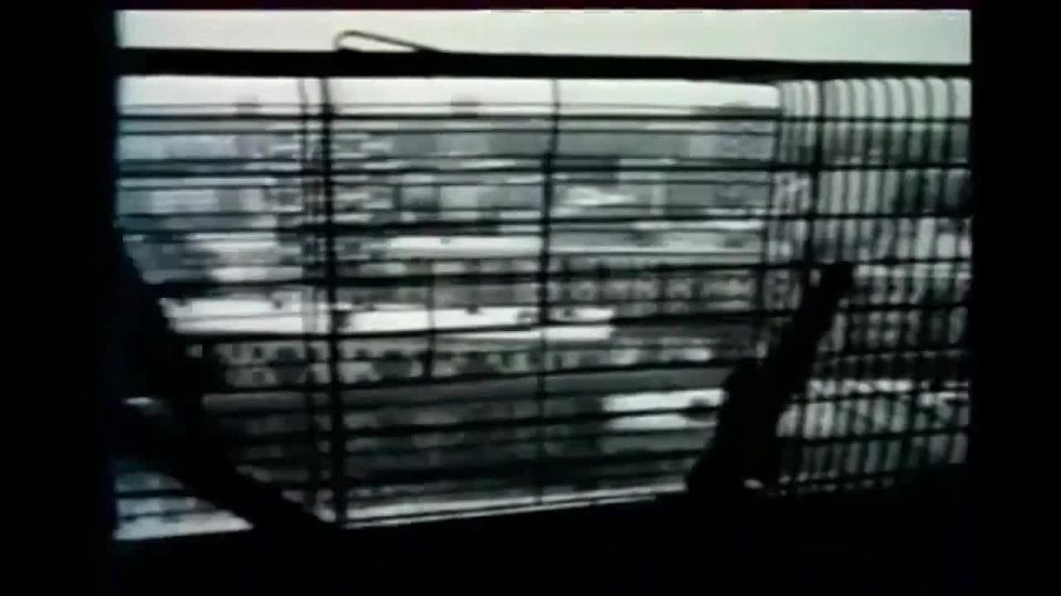 �������� ������: �������� ��������: ��� �������, ��� �����, ���� ������