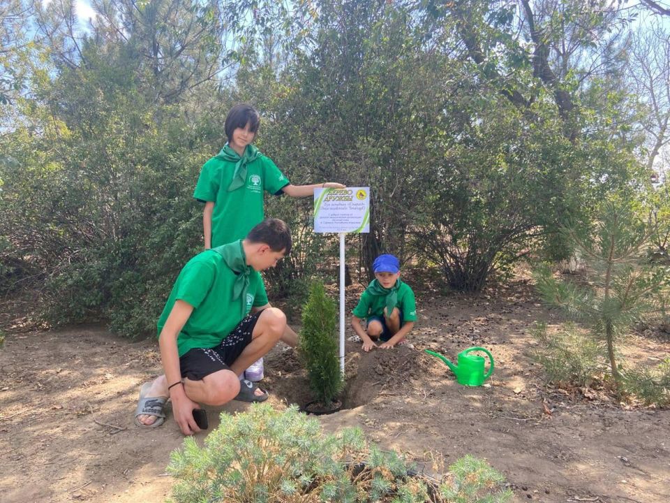 ����� � ��������� ������ �������� ������� �������