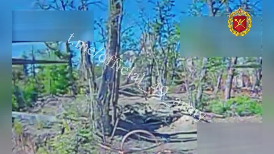 ���� �� �������: ���� ��������� � ������� ������ ������ ��� � ������ � ������� ��������������� ������� ���������� � ����� �� ��� ����������