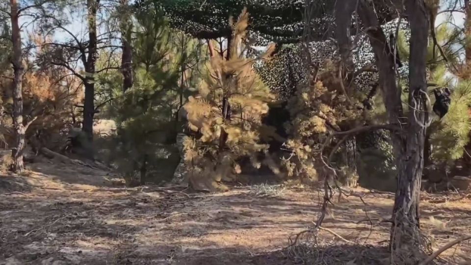 ���������� ������������ ���������� ����� ���������� ���� ��� �� ������ ������ ������ � ���������� �������