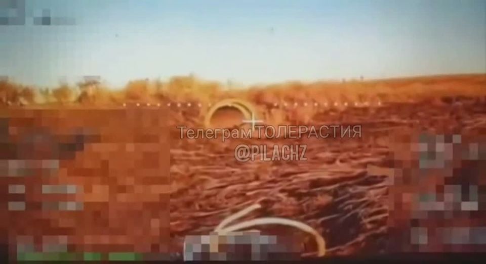 ���� �� �������: �������� ������ ��-xox������