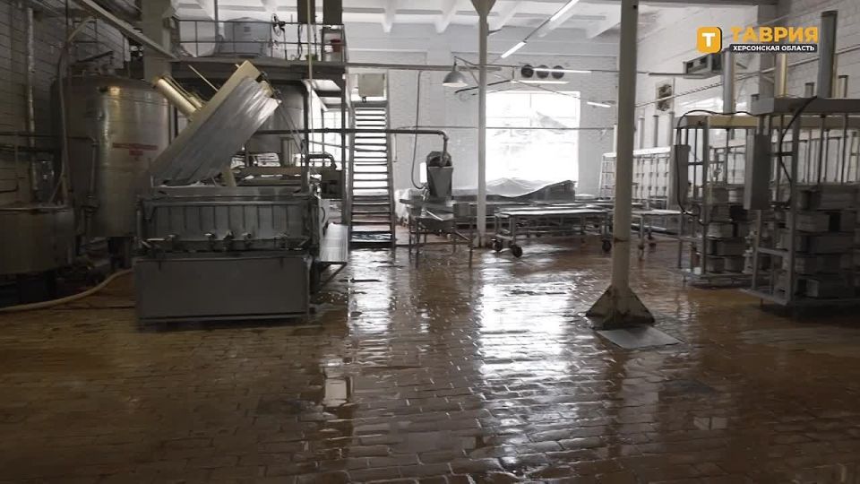 ������������ ������������� � ��� ����� ���������� �������, ������ ������� �����