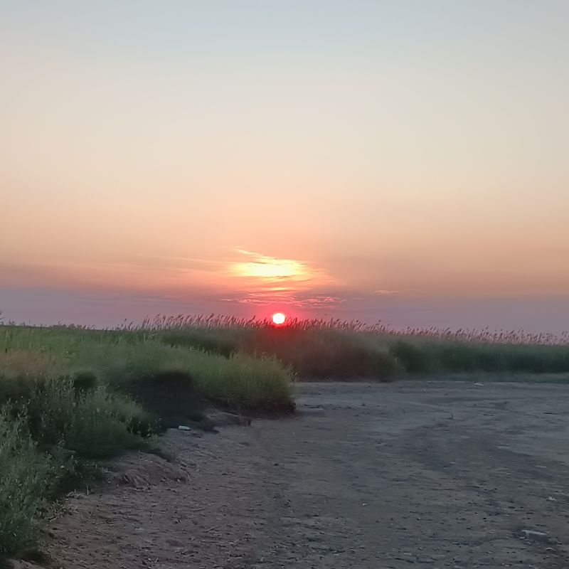 ��������� �������� ������ ������� � ���� �������� ������� ����