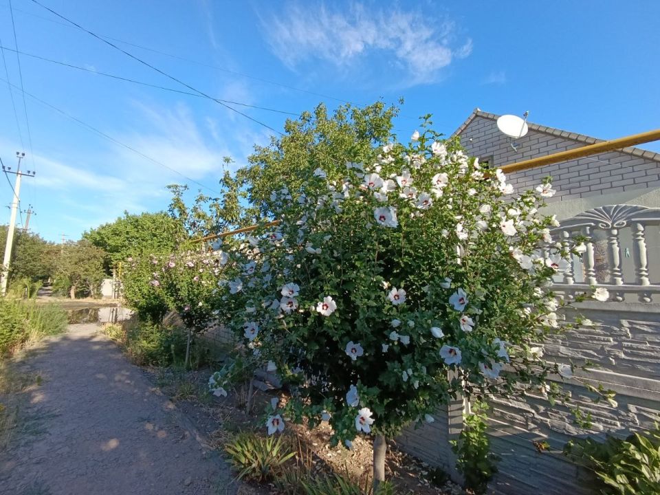 ������ ����, ������ ���������� �������������� ������!