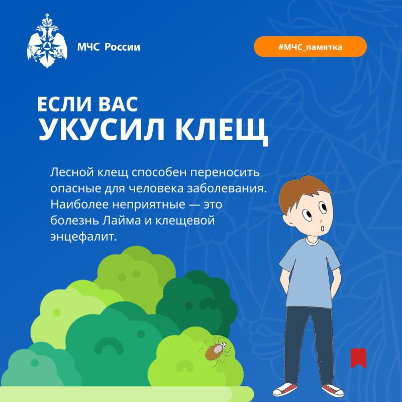 �������� ������!. � 2024 ���� �� ���������� ������� ���� ���������������� 37 ������� ������ �������, ��� ���������� 12,3 ������ �� 100 ����� ���������