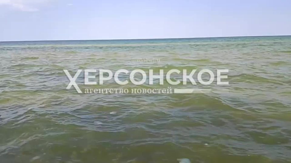 ���� ���������, � �� � ���!