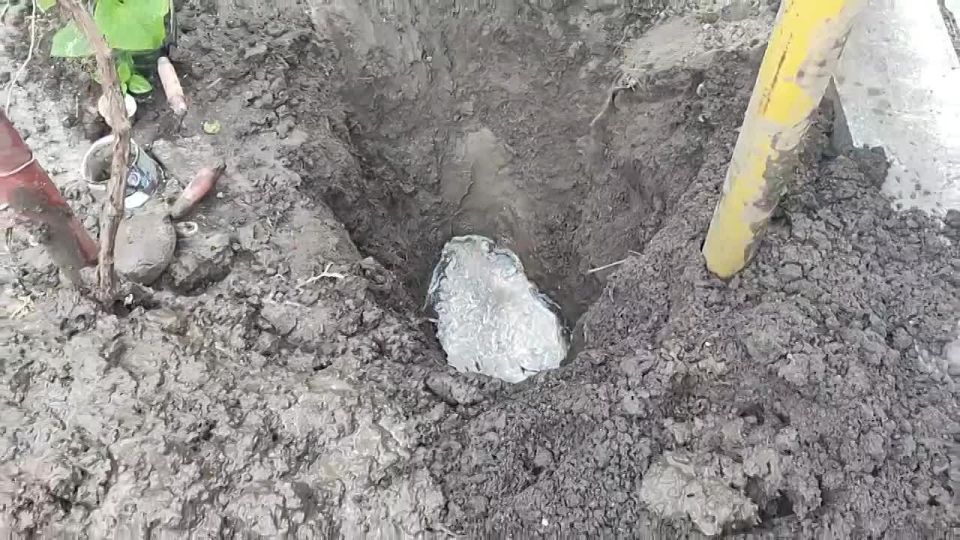 ��������� �����: ����������� ���������� ������ ����������� � ���������