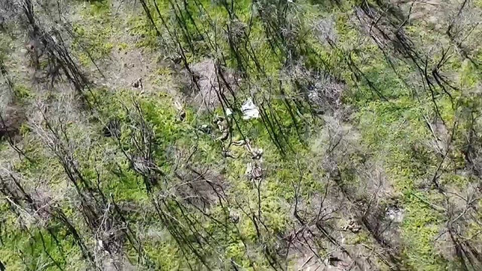 �� ����������� ����������� ���� ����� ������ �� 1194 ��� ���������� ������������ ������ �� 12 ������ ���