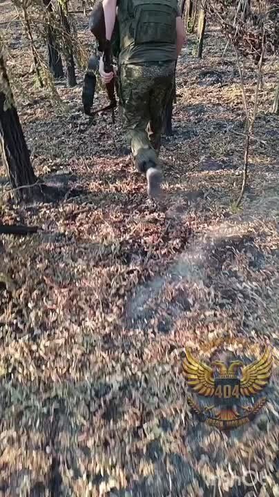 ������� ������������ �� �������� � ����� �� ������ ���� � ����� ���������� �������