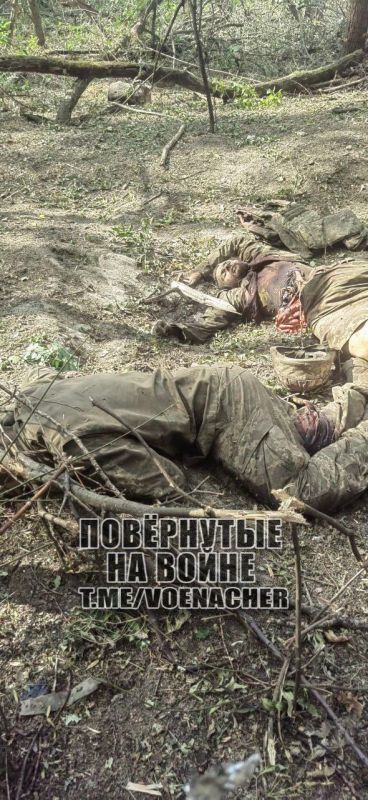 ��������, ������� �� �������� ���������� �� �������� � �������