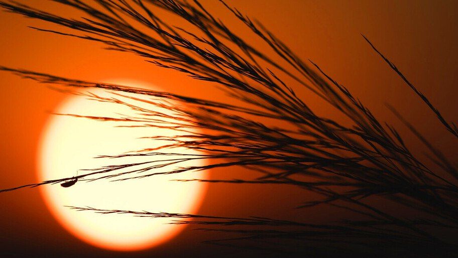 ���� ���� 40 �������� ��������� � ���������� ������� �� ������ �������� ���