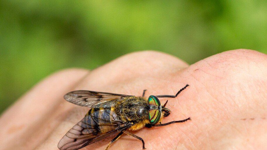 ������� �������� ����. ������� �������, ��� ������ ����� ������� � ��� �� ��������