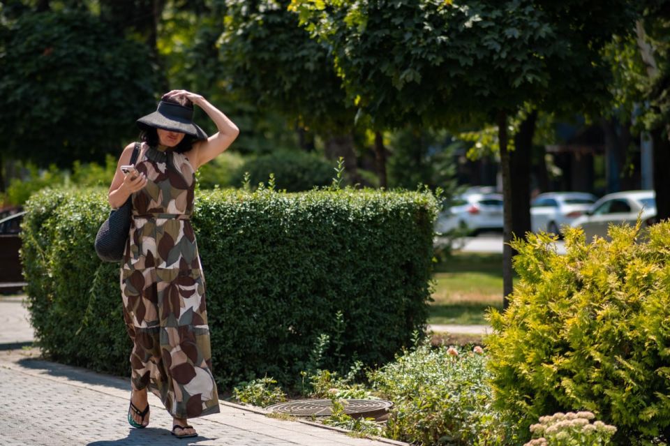 ������� ���������� ������� ������������ � ��������������� ����