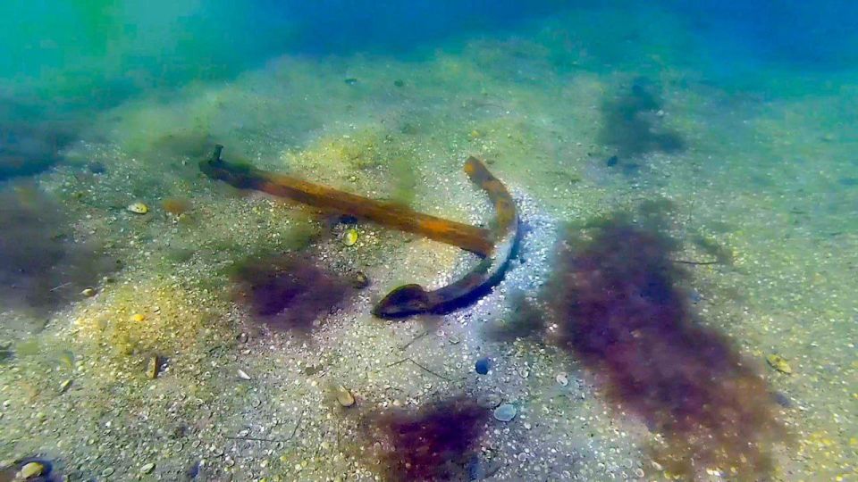 ������������ ����� � ������� ���������� ����� ��������� ��������� ����� ������ ������� ������������� �����, ������� �������� ������