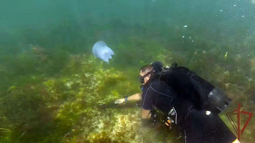 ������������ ���������� ��������� ������ ������� ������������� ����� � �������� ����