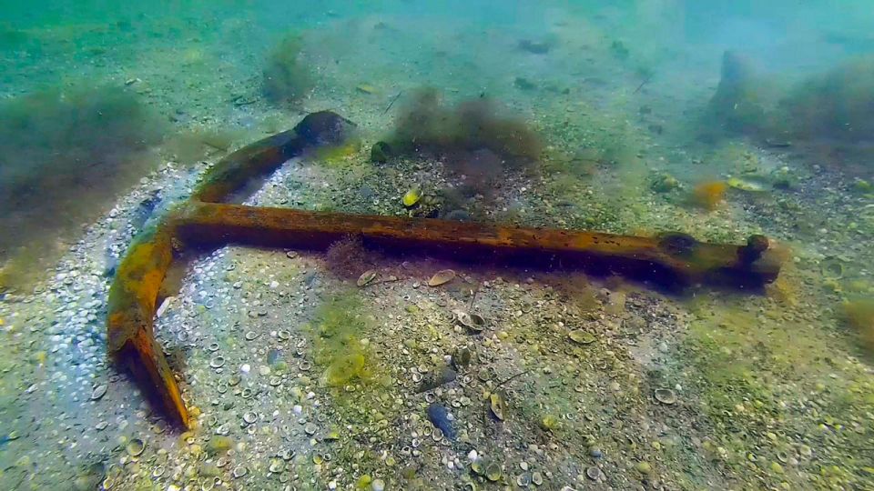 ������������ ���������� ��������� ������ ������� ������������� ����� � �������� ����