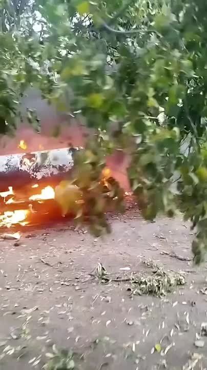 �������� �������������: ���������� ������ � ���� �� ������ ����� ����������