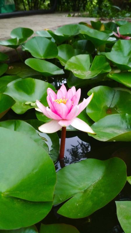 ������ ���� ���� ������� ���������� ������!