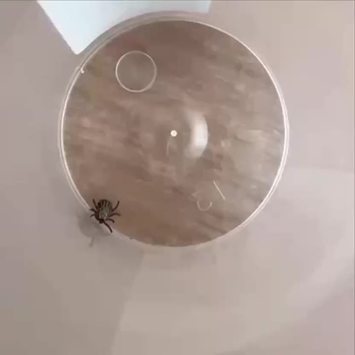 � ������ ������ ����� ������, �������������� ������������