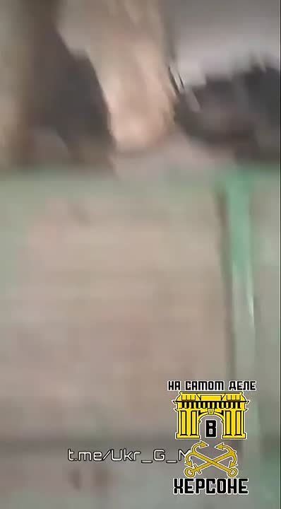 ���������� ������� �� 100-� ������� ���, ��� ������ ������ � ���, ������ � ������: ������ ������� ����� �������, �� �� ���-�� ����