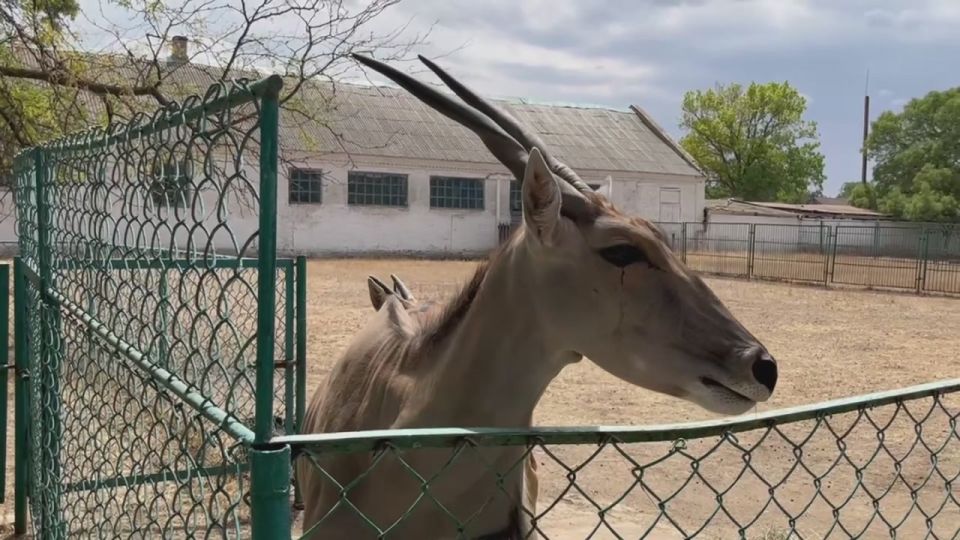 ���� � ��������-����: �������� ����� ����� �����!