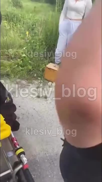 �������� �� ��� ����� ������������ � ������ "�����������"